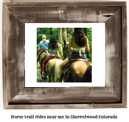 horse trail rides near me in Sherrelwood, Colorado